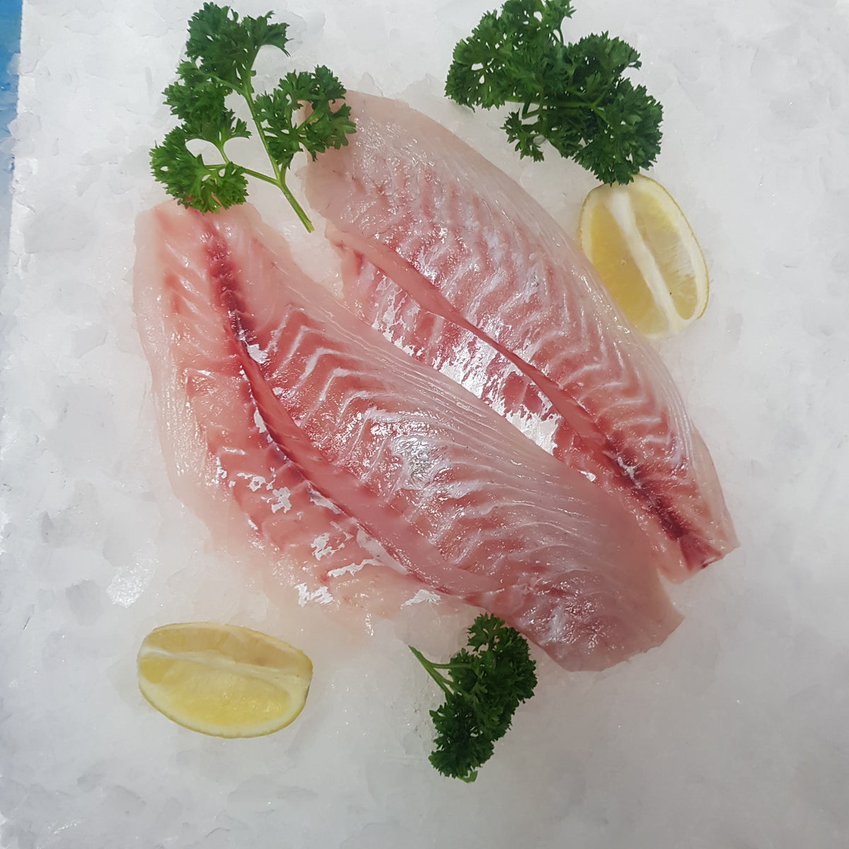 Snapper Fillets – Takanini Fish Mart