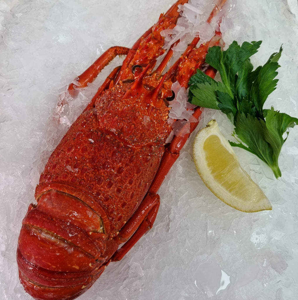 Fresh Seafood Online Takanini Fish Mart